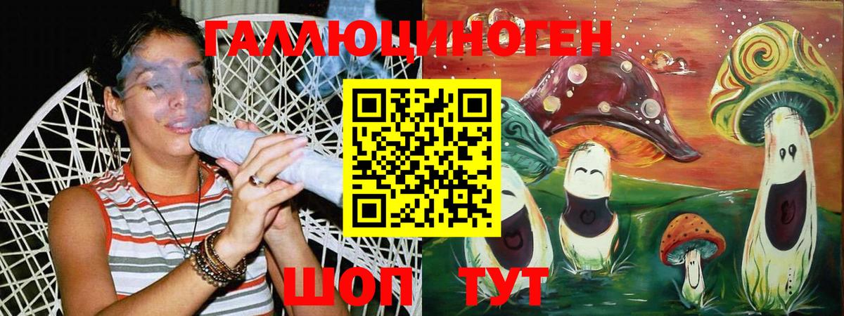 Псилоцибиновые грибы прущие грибы Камень-на-Оби