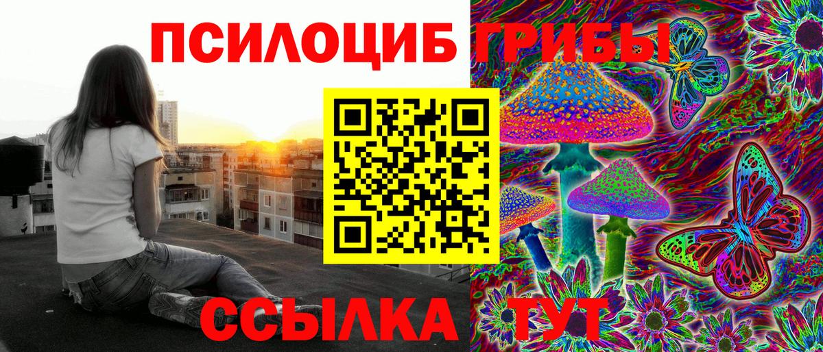 Псилоцибиновые грибы ЛСД  Вход с VPN  Камень-на-Оби 
